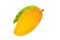 Ripe Alphonso mango fruit isolated white background