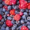 Ripe Amelanchier ovalis berries and raspberries as a natural background, close-up