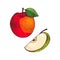 Ripe Apple and Slice of Vitamin Fruit Icon Vector