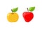 Ripe Apple and Slice of Vitamin Fruit Icon Vector