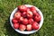 Ripe apples from the backyard. Harvest of red apples in a basin.