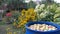 Ripe apples in a blue barrel in the garden.