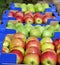 ripe apples display for sale on a  farmers market