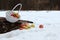 Ripe apples dropped out of white basket