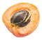 Ripe apricot`s cross section with apricot seed in it. Clipping p