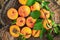 Ripe apricots with branches and leaves on a tree stump