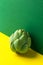 Ripe artichoke heart on duotone yellow green color combination background. Creative food poster. Minimalist style. Mediterranean