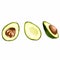 Ripe Avocado isolated on white.  Avocado green. Vegetarian food illustration. Healthy. Cartoon. Half, sliced avocado.