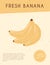 Ripe banana card design. Sweet banana fruit vector hand drawn poster concept. Bright tasty tropical fruit.