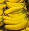 Ripe banana ready to eat. Yellow fruit