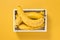 Ripe bananas in a box on bright yellow background