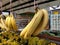 Ripe bananas displayed for sale. Some can be eaten straight away and some need to wait a few days.