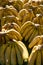 Ripe bananas on market shelf.Fresh bananas at the market.