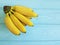 Ripe bananas vegetarian exotic cleaneating on a blue wooden background