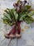 Ripe beet harvest with tops on a light rusty surface