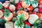 Ripe berries and foliage strawberry. Strawberries on a strawberry plant on a strawberry plantation