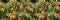 Ripe berries of nightshade, Solanum pseudocapsicum, background wallpaper banner panorama