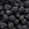 Ripe blackberries background