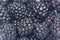 Ripe blackberries background. Background blackberries