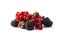 Ripe blackberries, raspberries and redcurrants isolated on white background. Background of mix berries on white background.