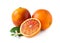 Ripe blood oranges, leaves and flower on white. Citrus fruit