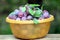 Ripe blue plums in orange bowl closeup