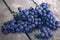 Ripe blue and purple grapes on the old gray wooden table