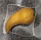 Ripe Bosc pear.