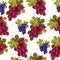 Ripe branches of grapes, autumn harvesting seamless pattern