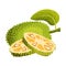 Ripe Bright Whole Jackfruit with Green Seed Coat and Slices Showing Fibrous Core Vector Illustration