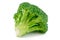 Ripe Broccoli Cabbage Isolated
