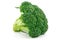 Ripe Broccoli Cabbage Isolated