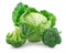 Ripe Broccoli and Savoy Cabbage Isolated