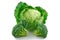 Ripe Broccoli and Savoy Cabbage Isolated