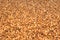 Ripe buckwheat groats background texture, natural dry buckwheat grains closeup