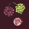 Ripe bunch of grapes. Red ripe pomegranate with seeds. Purple and green. Fruit. Veganism, vegetarianism, raw food diet, proper nut