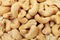 Ripe Cashew Nuts