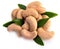 Ripe cashew nuts with leaves