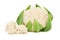 Ripe cauliflower with green leaves (isolated)