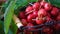 Ripe cherries in a basket. Raindrops on ripe cherries