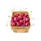 Ripe cherries in eco package