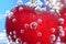 Ripe cherries in soda water close up macro