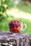 Ripe cherries and strawberries in a cup on tree stump. Fresh red fruits in summer garden in the countryside