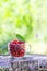 Ripe cherries and strawberries in a cup on tree stump. Fresh red fruits in summer garden in the countryside