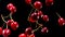 Ripe cherry drops on a black background