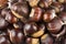 Ripe chestnuts close up. Raw Chestnuts