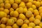 Ripe citron fruit