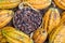 Ripe cocoa pod and beans setup on rustic wooden background