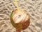 A ripe coconut with a hole and a drinking tube in his hand. Healthy natural drink full of vitamins and antioxidants
