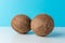 Ripe coconuts on blue background. Creative summer minimal concept